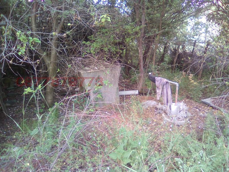 Продава КЪЩА, с. Тошевци, област Видин, снимка 4 - Къщи - 52795382