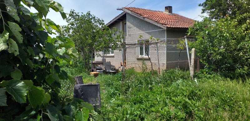 Продава КЪЩА, с. Пленимир, област Добрич