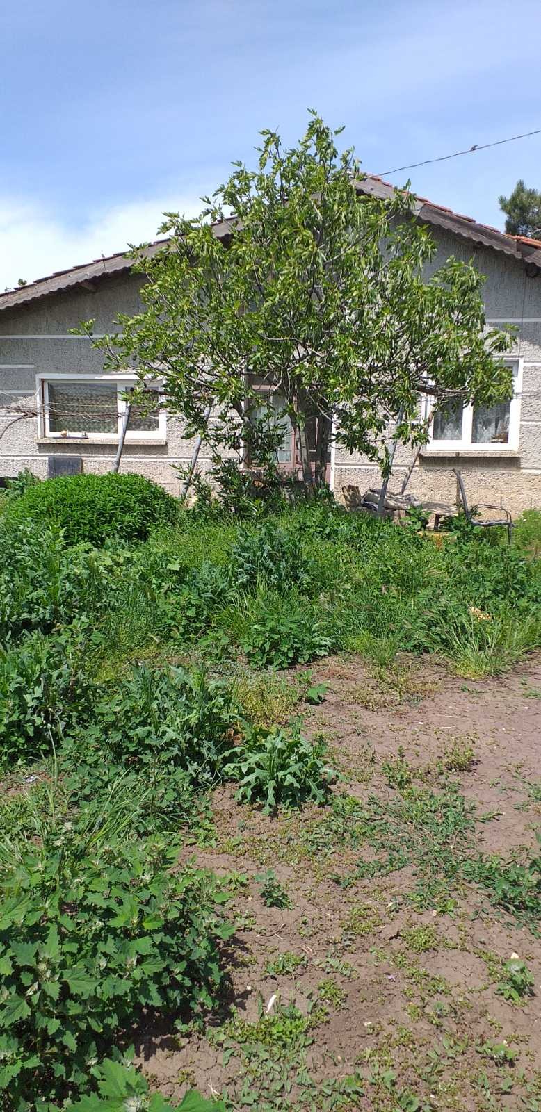 Продава КЪЩА, с. Пленимир, област Добрич, снимка 4 - Къщи - 52819104