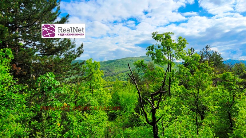 Продава ВИЛА, с. Макоцево, област София област, снимка 4 - Вили - 53120596