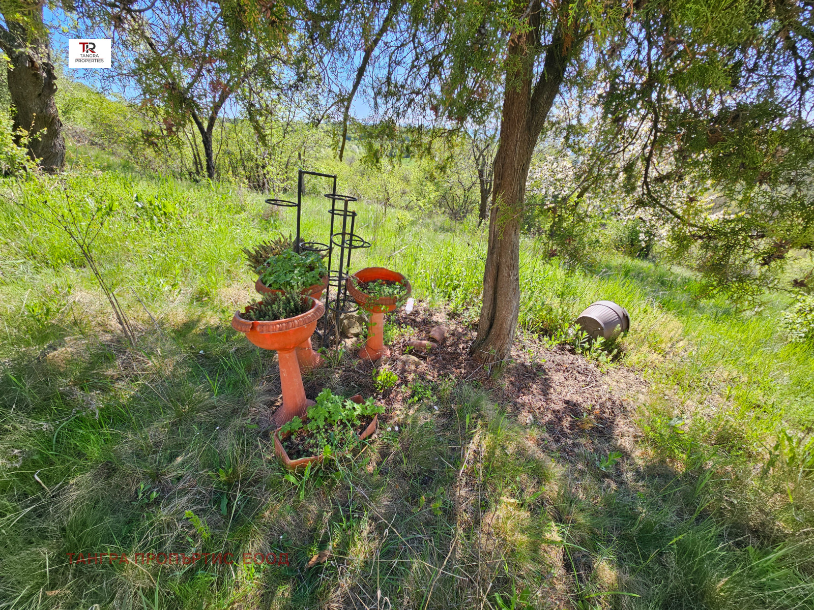 ������� ���� | Imot.bg � ����������� 5