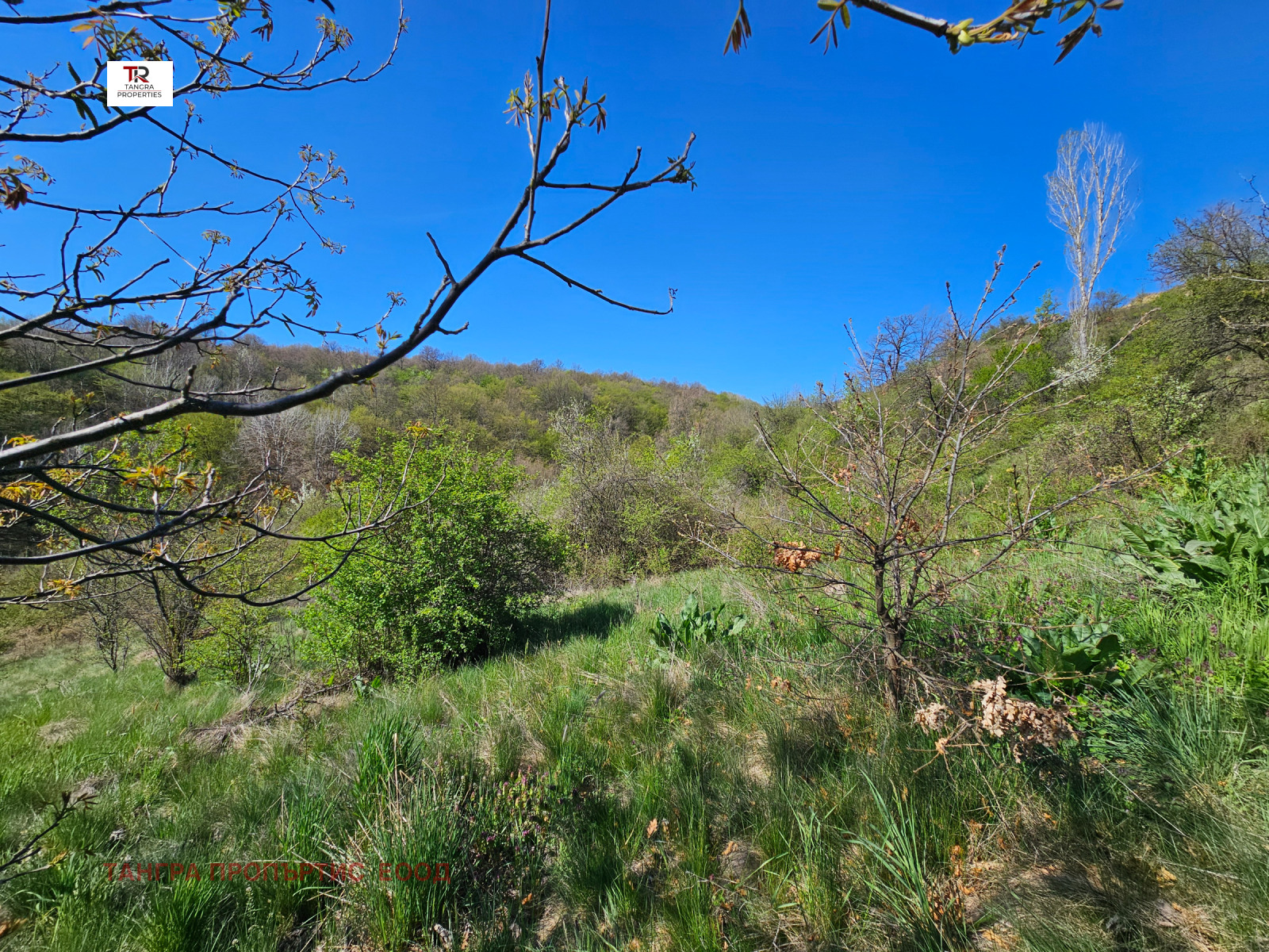 ������� ���� | Imot.bg � ����������� 14