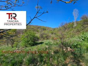 ������� ���� | Imot.bg � ����� ������ 14