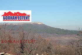 Продажба на земеделски земи в област Велико Търново - изображение 4 