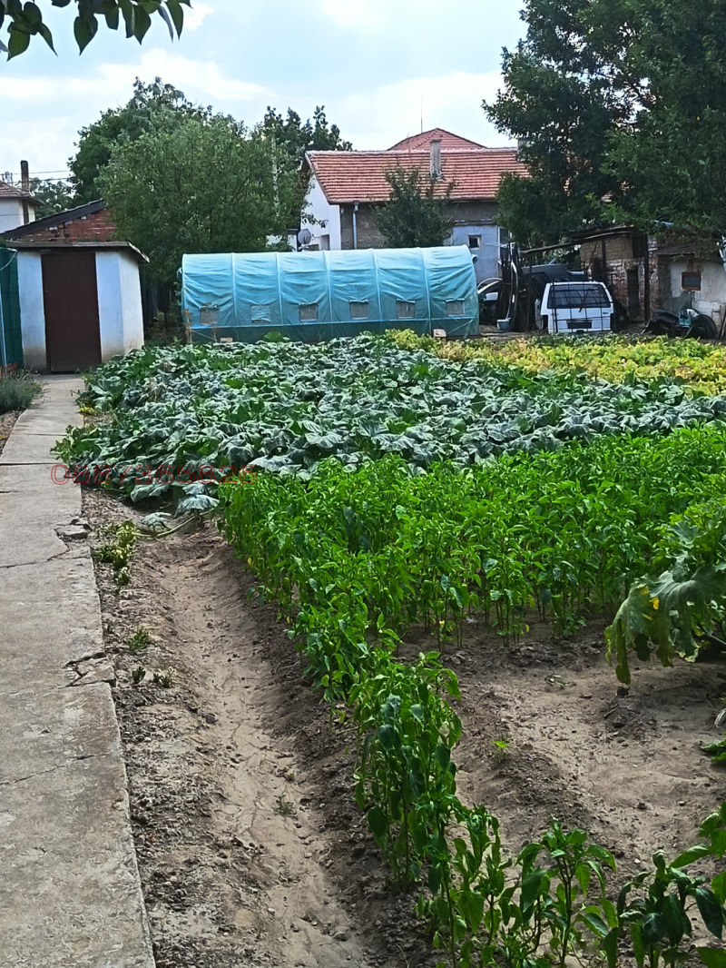 Продава КЪЩА, гр. София, с. Кривина, снимка 2 - Къщи - 52777350