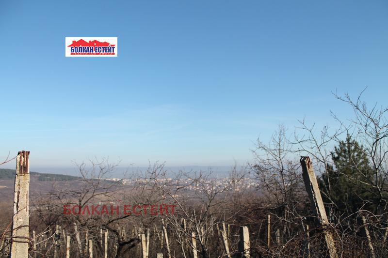 Продава  Земеделска земя област Велико Търново , с. Арбанаси , 6 дка | 81386899 - изображение [2]