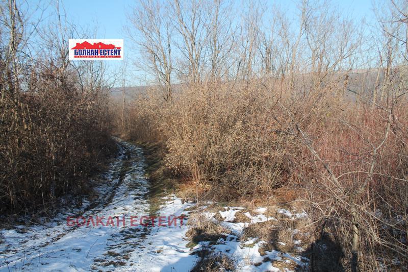 For Sale  Land region Veliko Tarnovo , Arbanasi , 6 dka | 14644662 - image [9]