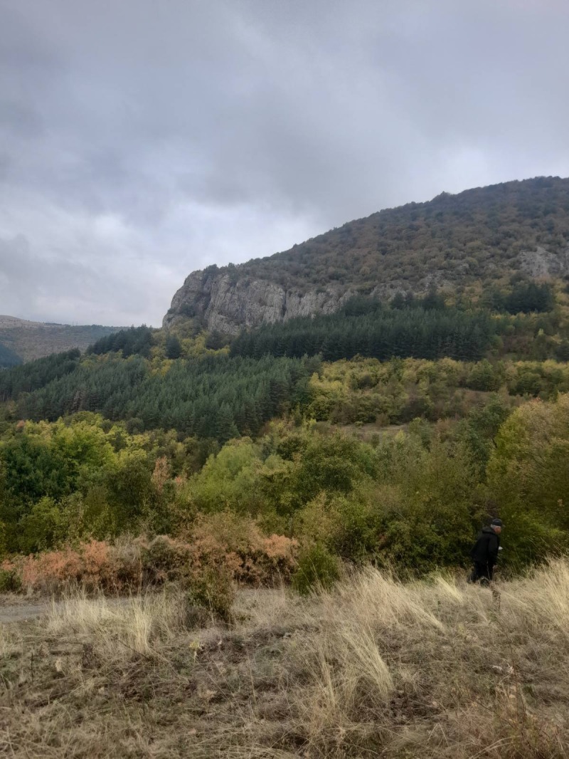 Продава ПАРЦЕЛ, с. Брезе, област София област