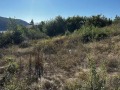 Продава ПАРЦЕЛ, област Кърджали, с. Тополчане • 40000 € • 33728126 — Holmes.bg