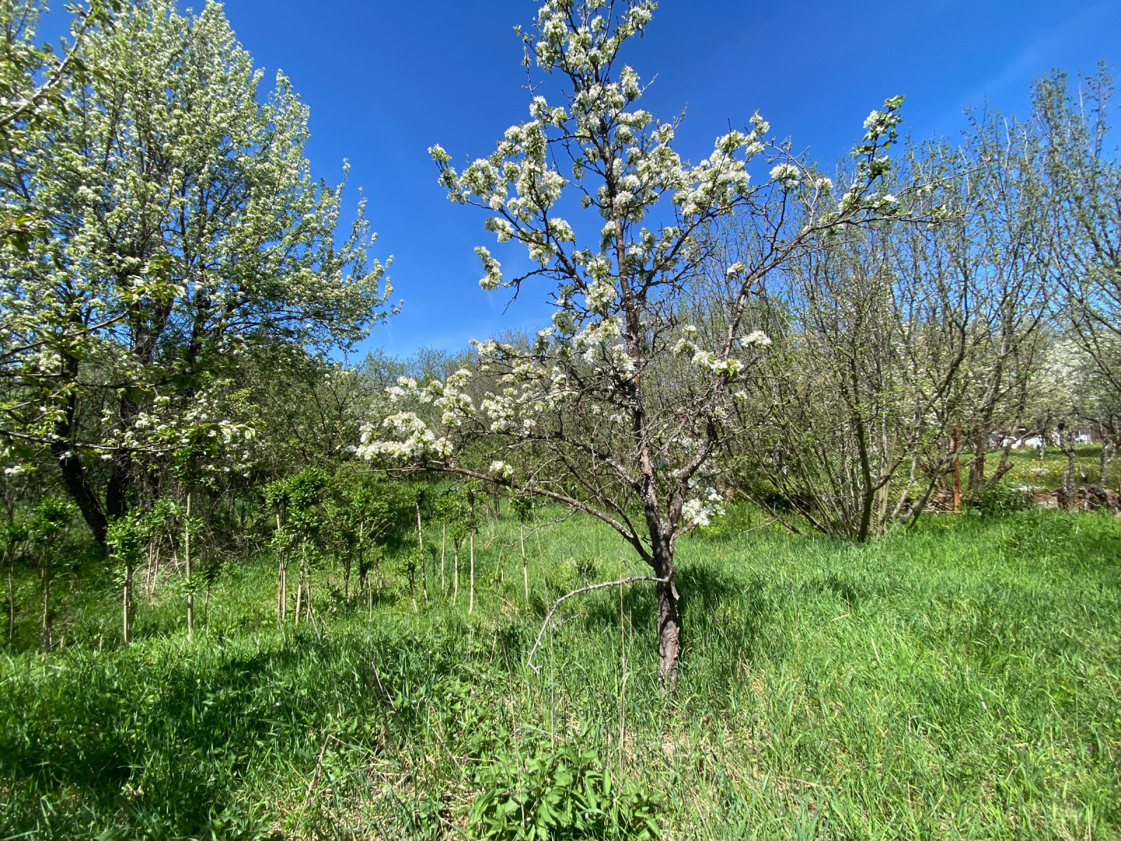 ������� ���� | Imot.bg � ����������� 4