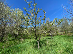 ������� ���� | Imot.bg � ����� ������ 5