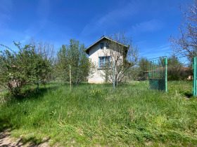 ������ ������� ����