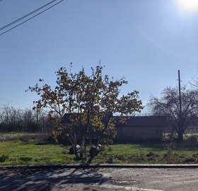 ������ ������� ������