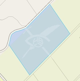 ������ ������� ������