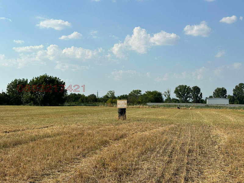 Продава ЗЕМЕДЕЛСКА ЗЕМЯ, гр. Пазарджик, област Пазарджик, снимка 7 - Земеделска земя - 52785327
