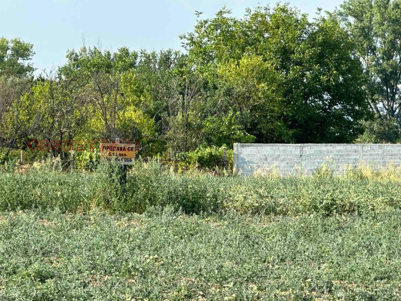 Продава ЗЕМЕДЕЛСКА ЗЕМЯ, гр. Пазарджик, област Пазарджик, снимка 8 - Земеделска земя - 52785327