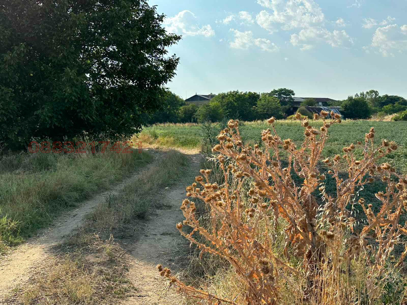 Продава ЗЕМЕДЕЛСКА ЗЕМЯ, гр. Пазарджик, област Пазарджик, снимка 5 - Земеделска земя - 52785327