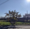 Продава ПАРЦЕЛ, с. Кочево, област Пловдив, снимка 1