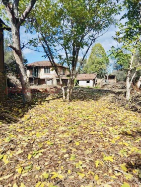 ������� ���� | Imot.bg � ����� ������ 4