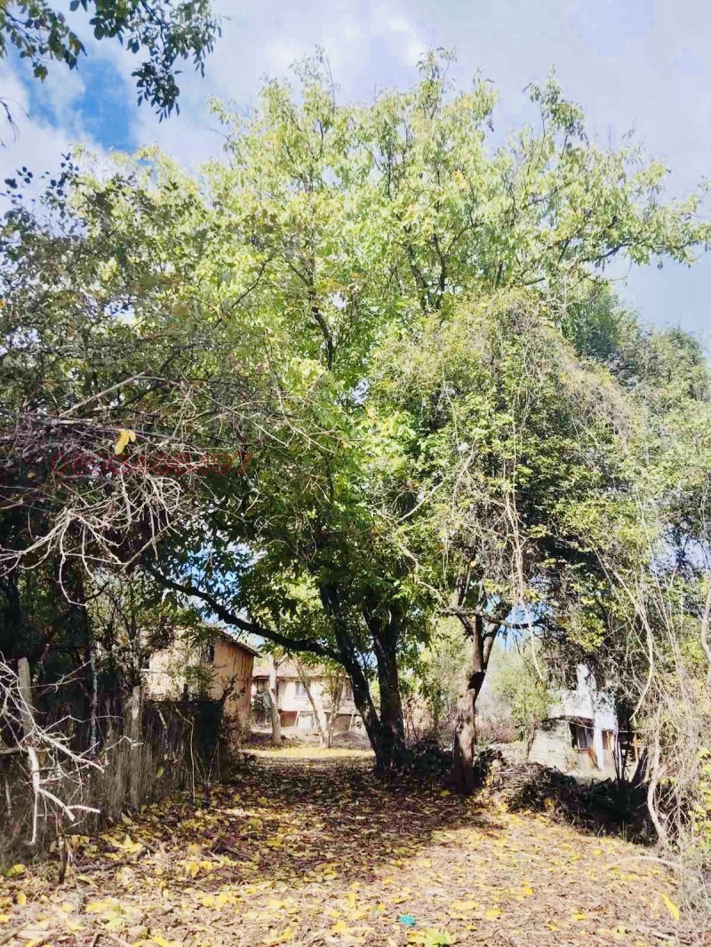 Продава КЪЩА, с. Светля, област Перник, снимка 5 - Къщи - 52782635