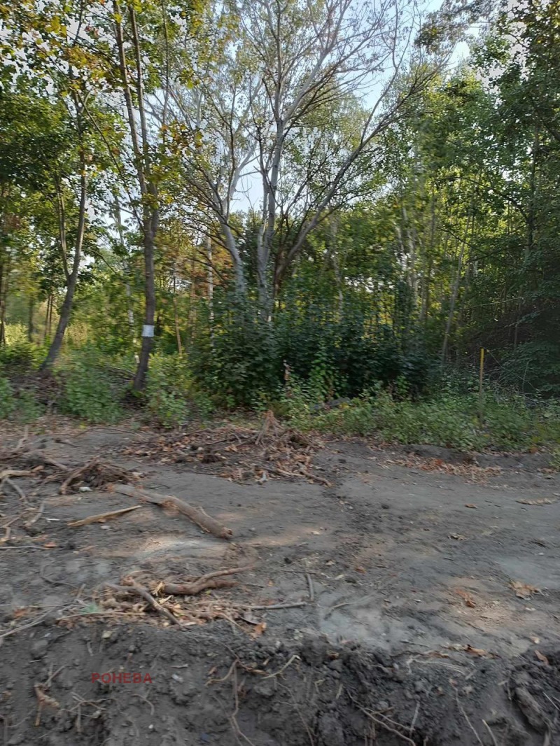 Te koop  Verhaallijn Varna , Zapadna promisjlena zona , 3050 m² | 70255365 - afbeelding [3]