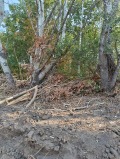 Продава ПАРЦЕЛ, град Варна, Западна промишлена зона • 253200 € • 59015083 — Holmes.bg