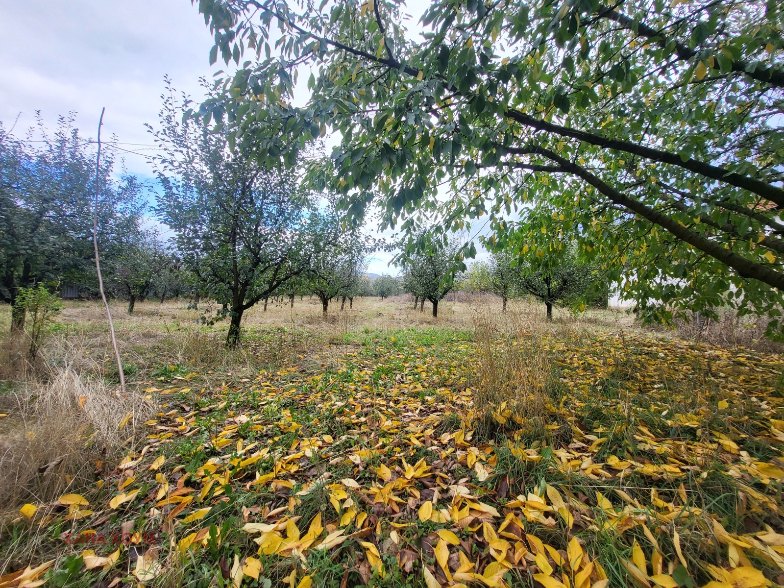 ������� ����. ��������� | Imot.bg � ����������� 8