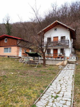 Hus Tserovo, region Sofia 1