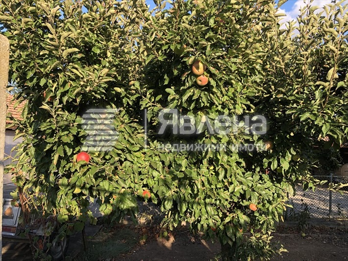 Zu verkaufen  Haus region Dobritsch , Widno , 150 qm | 51497129 - Bild [7]