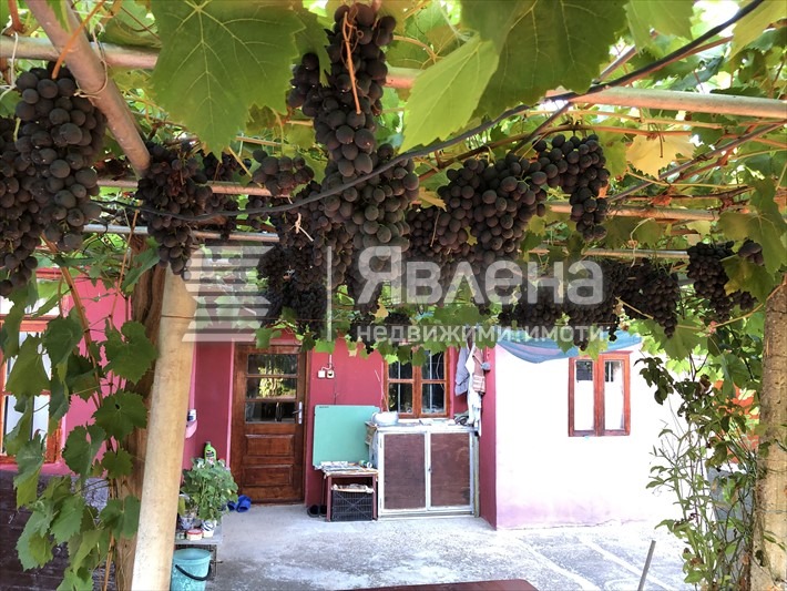 Zu verkaufen  Haus region Dobritsch , Widno , 150 qm | 51497129 - Bild [6]