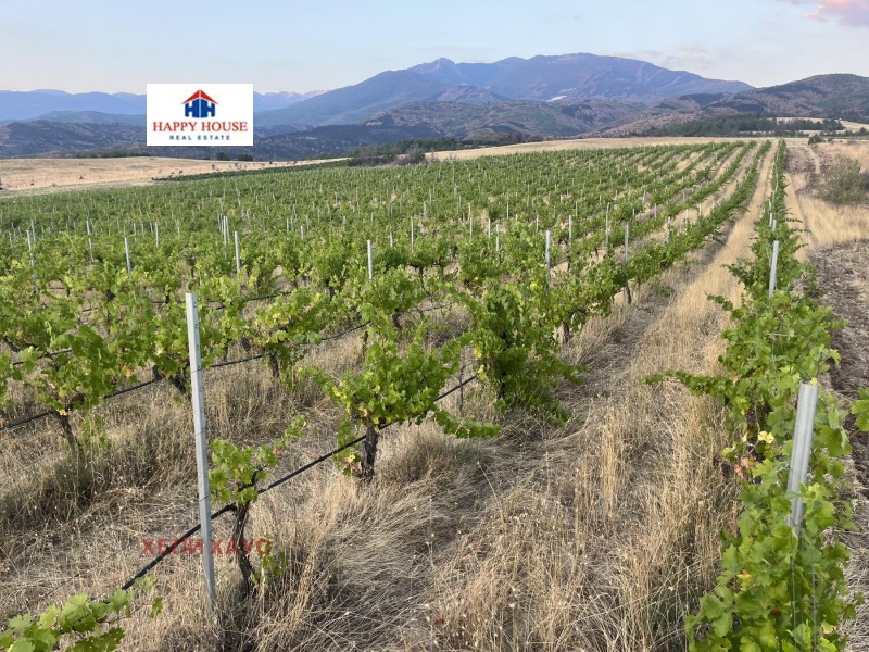 For Sale  Land region Blagoevgrad , Strumyani , 78 dka | 37772763 - image [3]