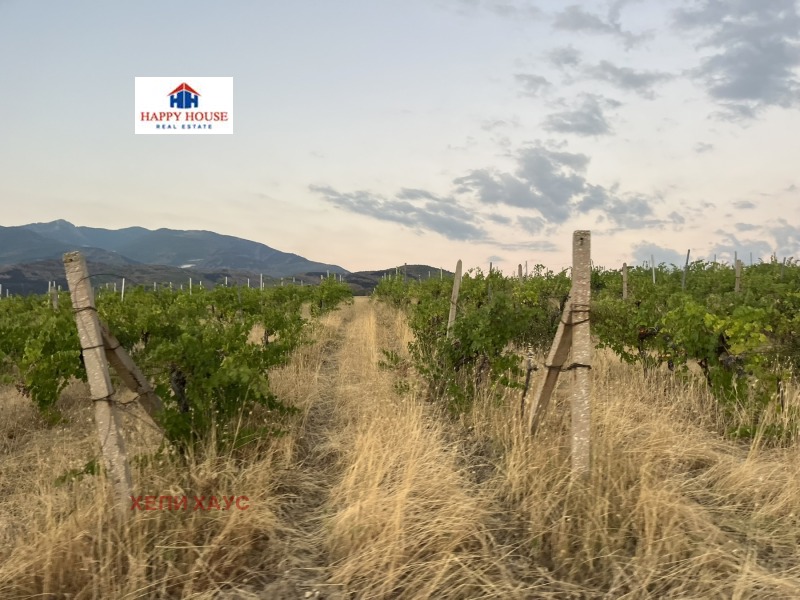 For Sale  Land region Blagoevgrad , Strumyani , 78 dka | 37772763 - image [8]