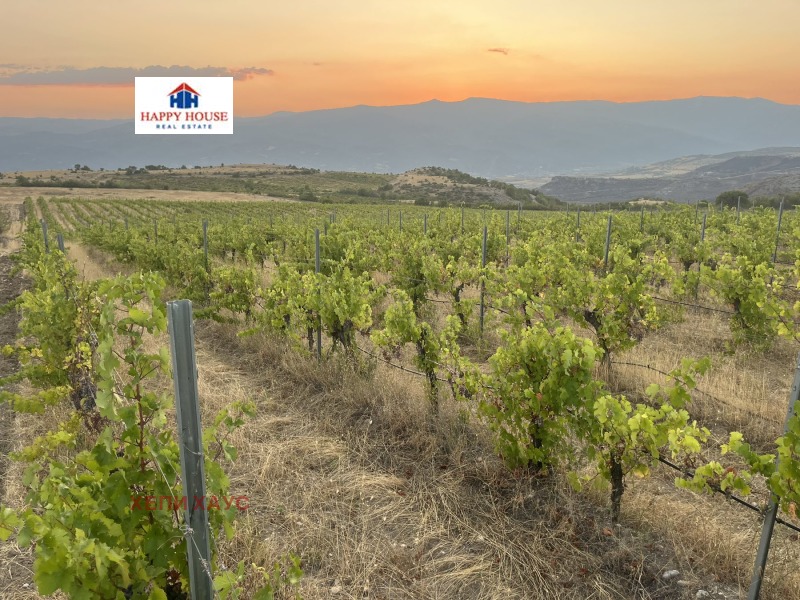 For Sale  Land region Blagoevgrad , Strumyani , 78 dka | 37772763