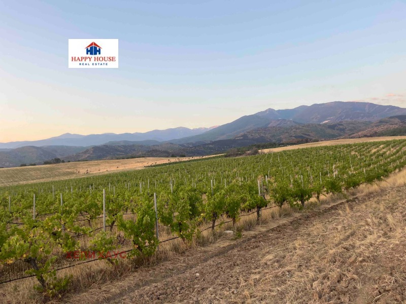 For Sale  Land region Blagoevgrad , Strumyani , 78 dka | 37772763 - image [2]