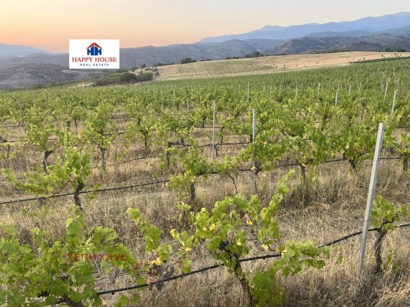 For Sale  Land region Blagoevgrad , Strumyani , 78 dka | 37772763 - image [5]