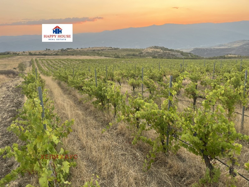 For Sale  Land region Blagoevgrad , Strumyani , 78 dka | 37772763 - image [7]