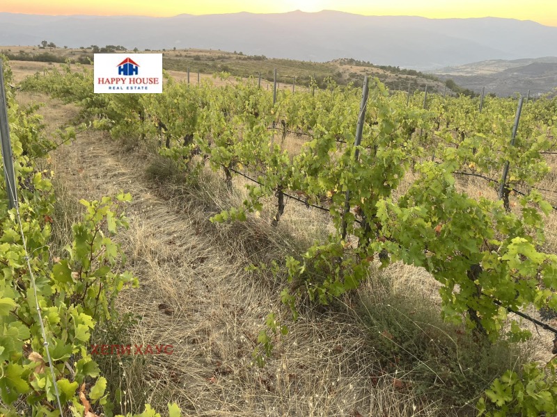 For Sale  Land region Blagoevgrad , Strumyani , 78 dka | 37772763 - image [4]