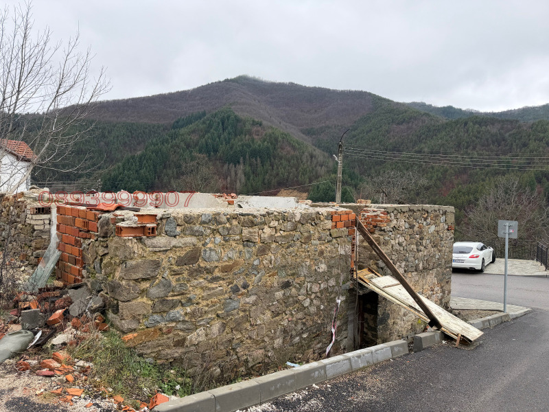 Продава КЪЩА, с. Оряховец, област Смолян, снимка 6 - Къщи - 53296844