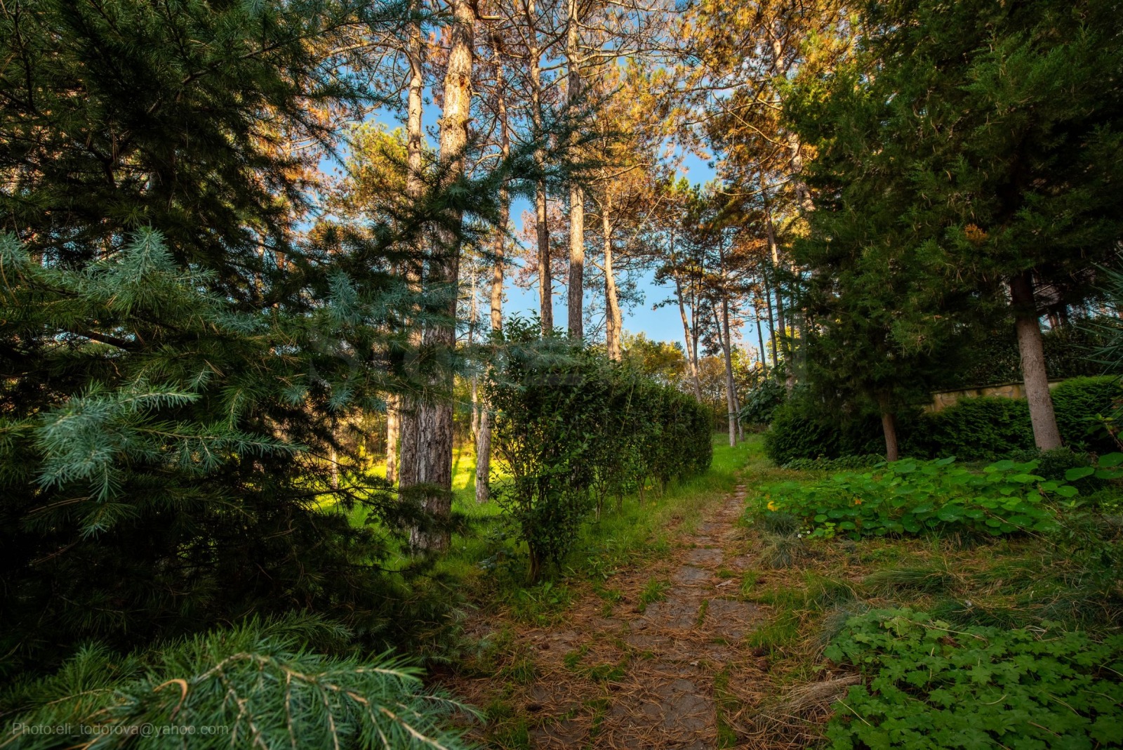 ������� 1-����� | Imot.bg � ����������� 6