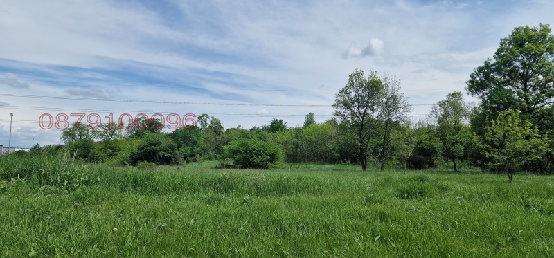 Na prodej  Spiknutí Sofia , Obelja , 1595 m2 | 80439041 - obraz [4]