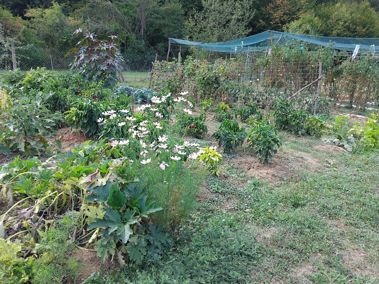 Продава ПАРЦЕЛ | Imot.bg — изображение 15