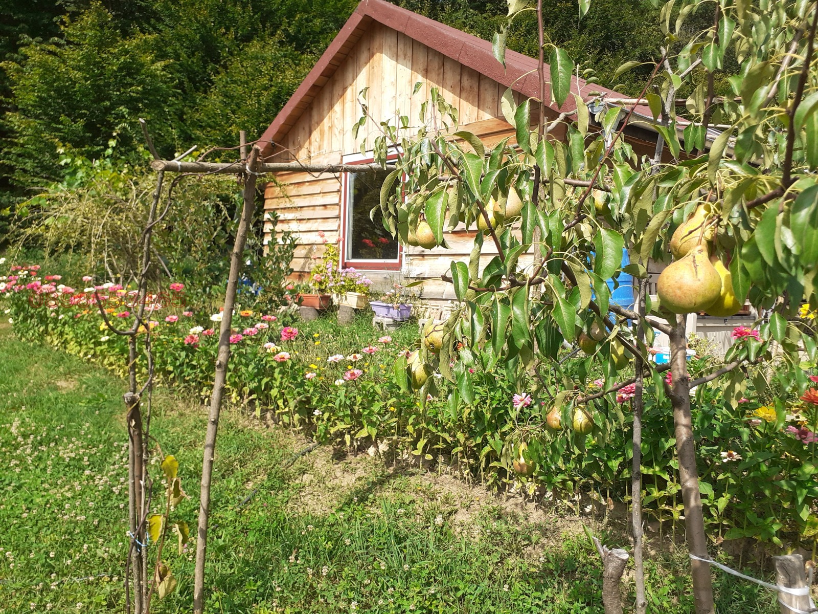 Продава ПАРЦЕЛ | Imot.bg — изображение 12