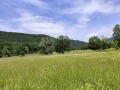 Продава ПАРЦЕЛ, с. Велчево, област Ловеч, снимка 2