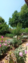 Продава КЪЩА, област Добрич, гр. Шабла • 155000 € • 68089107 — Holmes.bg