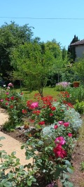 Продава КЪЩА, област Добрич, гр. Шабла • 155000 € • 68089107 — Holmes.bg