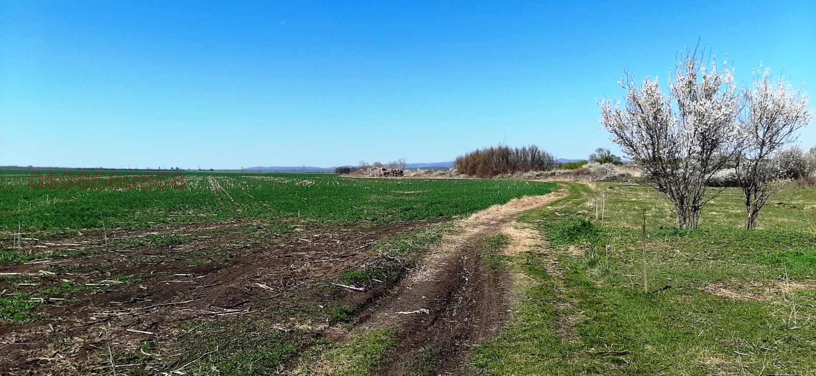 Продава ЗЕМЕДЕЛСКА ЗЕМЯ | Imot.bg — изображение 3