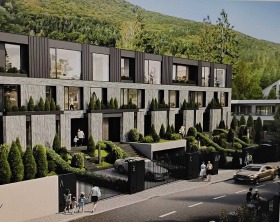 ����� ������� ����,���� �����, ����������