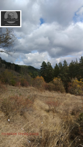 ������� ������� | Imot.bg � ����� ������ 3