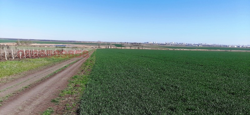 Продава ЗЕМЕДЕЛСКА ЗЕМЯ, гр. Бургас, област Бургас, снимка 6 - Земеделска земя - 52782852