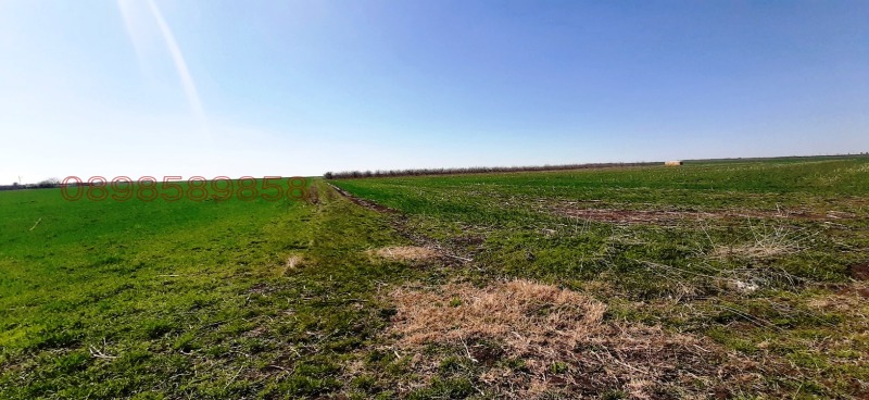 Продава ЗЕМЕДЕЛСКА ЗЕМЯ, гр. Бургас, област Бургас, снимка 5 - Земеделска земя - 52782852
